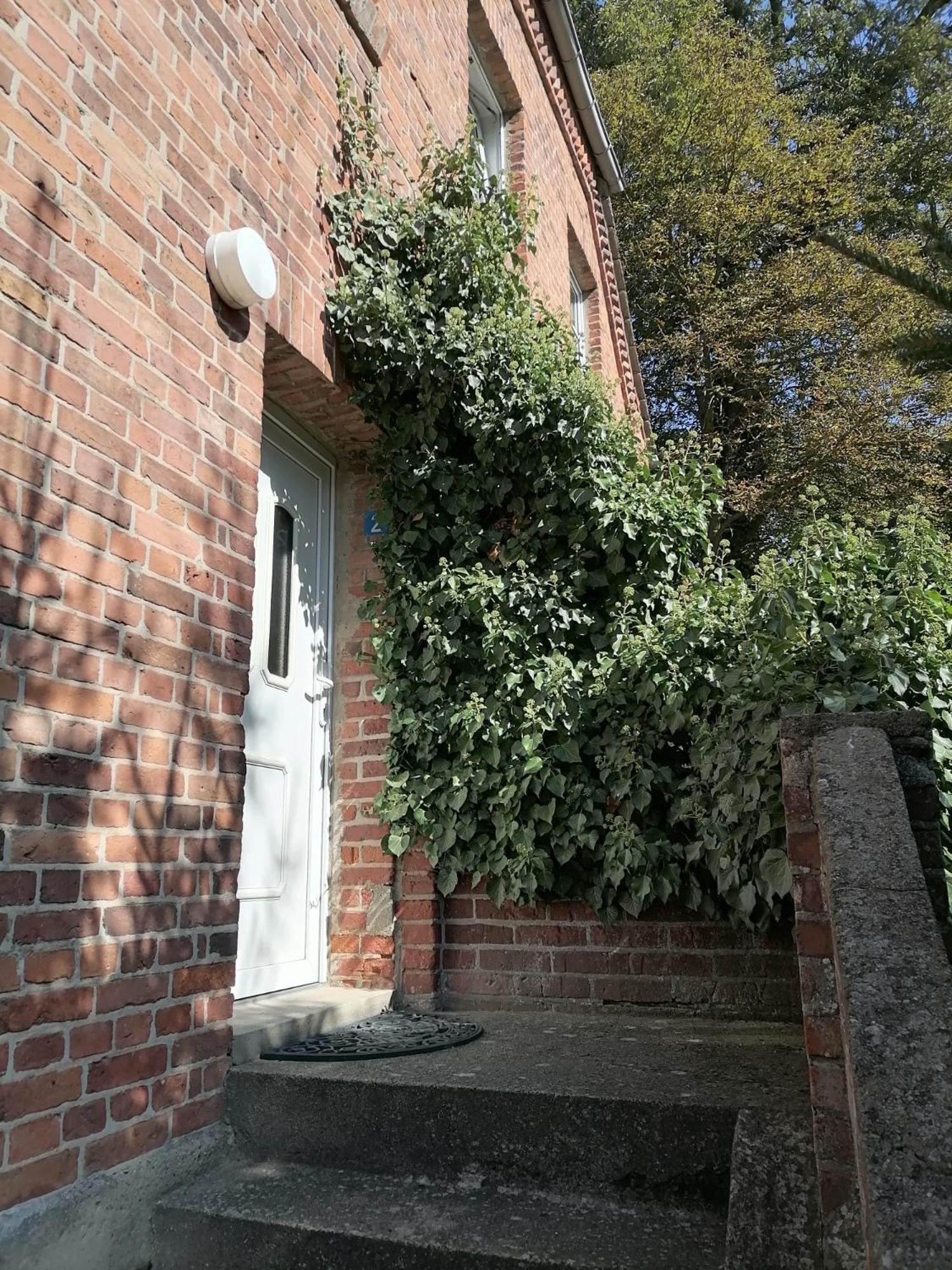 Gutshaus Daemelow Tussen Schwerin En Wismar Εξωτερικό φωτογραφία