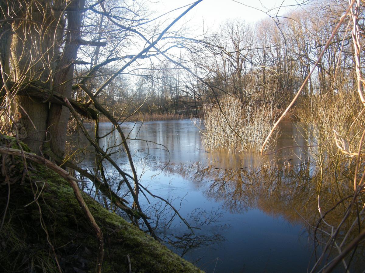 Gutshaus Daemelow Tussen Schwerin En Wismar Εξωτερικό φωτογραφία